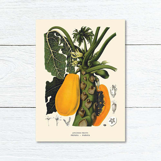 Lumikasa Art Greeting Card Pepasya - Papaya