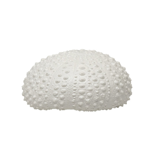 Lumikasa Sea Urchin Shell White Medium