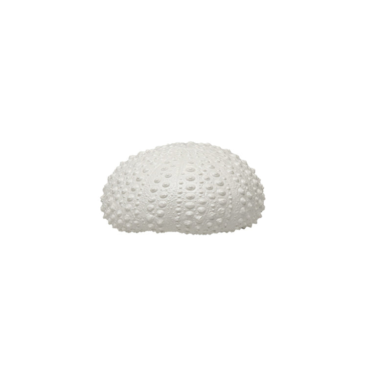 Lumikasa Sea Urchin Shell White Small