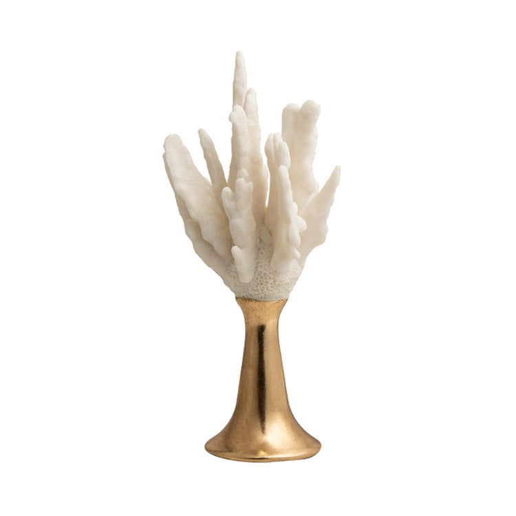 Lumikasa Antler Coral Large