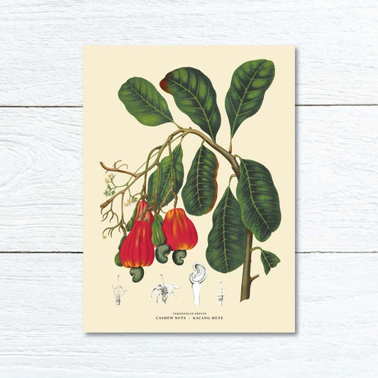 Lumikasa Art Greeting Card Jambu Mete - Cashew Apple