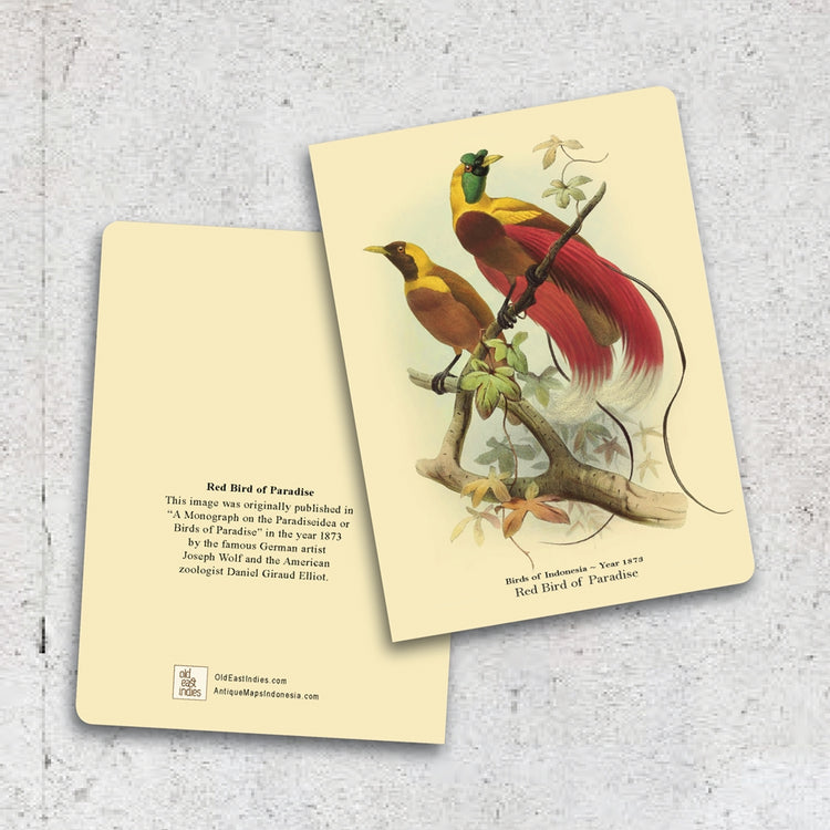 Lumikasa Art Thin Book Red Bird of Paradise