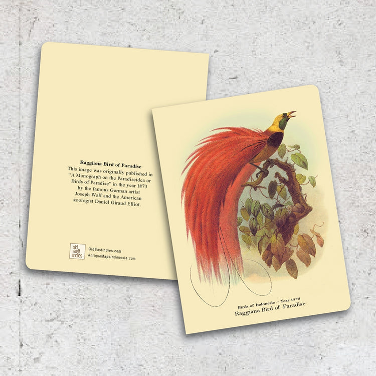 Lumikasa Art Thin Book Raggiana Bird of Paradise