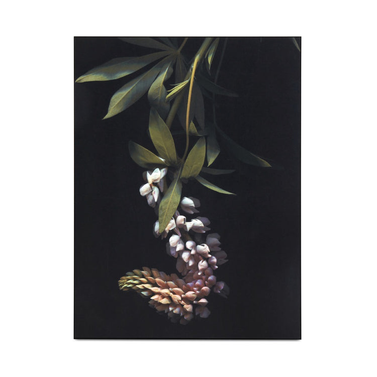 BoConcept Herbarium I Metal Print