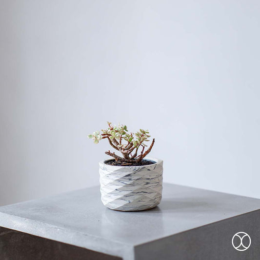 Concreate Acadia Planters Marble