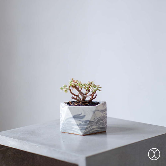 Concreate Hara Planters Marble