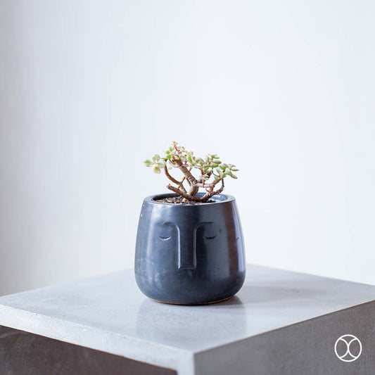 Concreate Moai Planters Black