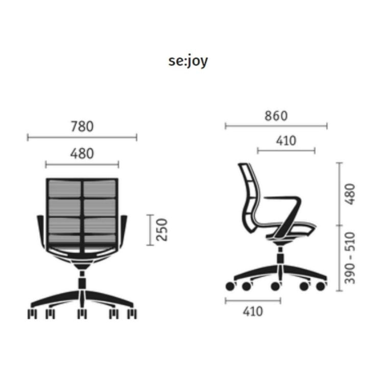 Sedus Sejoy Chair Anthracite