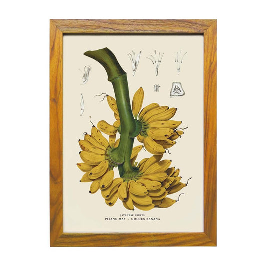 Lumikasa Art Pisang Mas - Golden Banana Frame Large