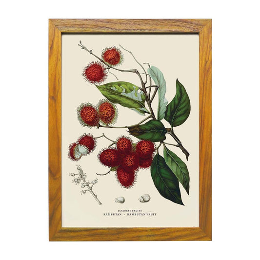 Lumikasa Art Rambutan - Rambutan Fruit Frame Large