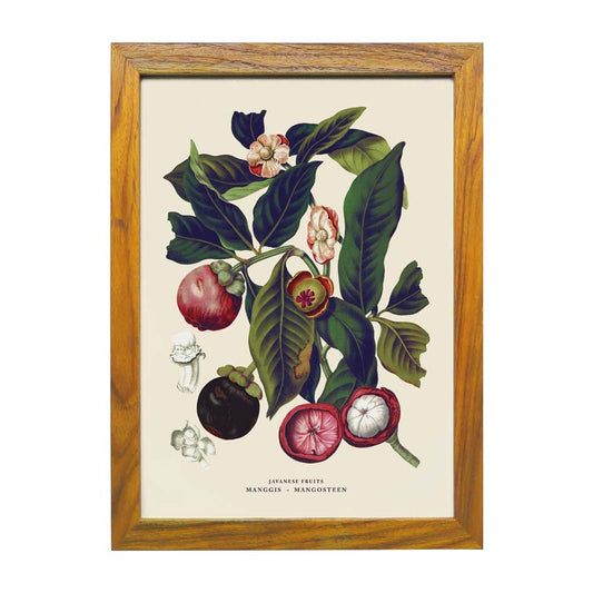 Lumikasa Art Manggis - Mangosteen Frame Large