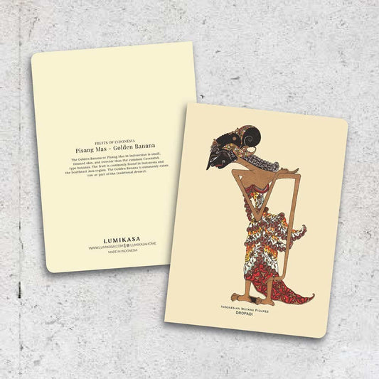 Lumikasa Art Thin Book Draupadi