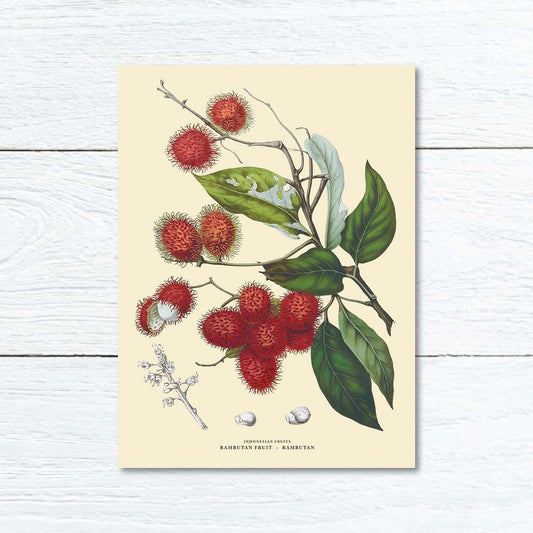 Lumikasa Art Greeting Card Rambutan - Rambutan Fruit