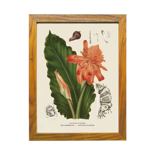 Lumikasa Art Kecombrang - Ginger Flower Frame Large